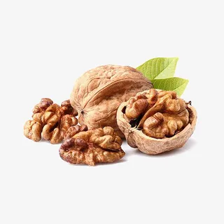 核桃免扣元素免抠