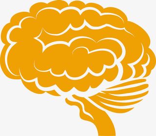 矢量人脑素材免抠