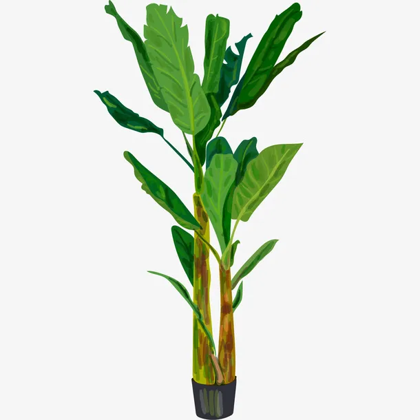 手绘的植物树叶免抠
