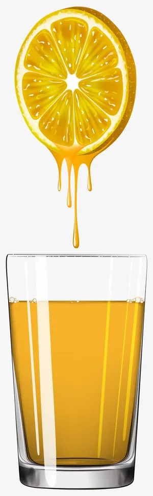 橙子片矢量免抠