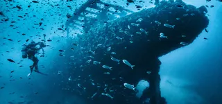 潜水背景图高清