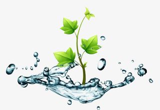 卡通水纹绿叶装饰素材免抠