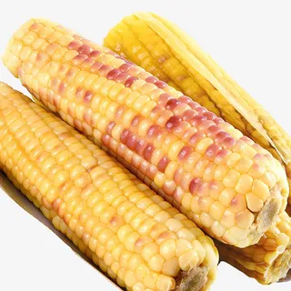 五彩玉米水煮玉米免抠