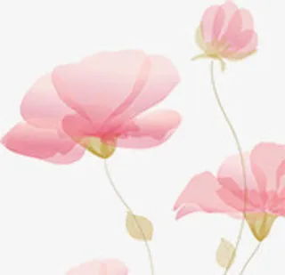 手绘粉色花卉万圣节贺卡免抠