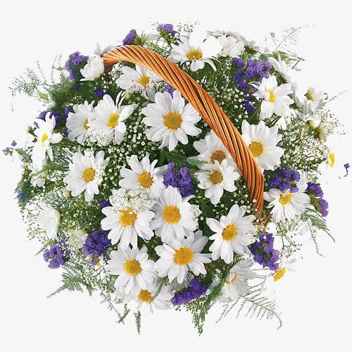 白色花花篮免抠