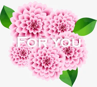 矢量唯美花朵素材免抠