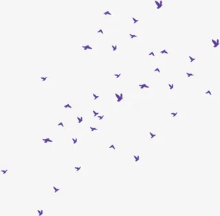 飘舞紫色小鸟免抠