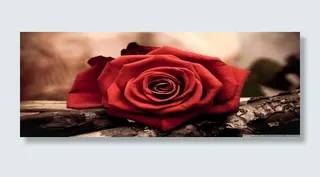 唯品会京东banner高清