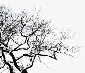 树枝雪景免抠