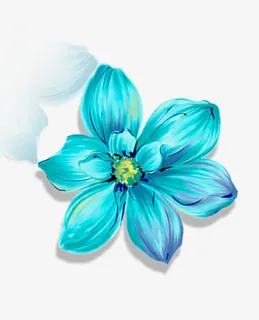 美容护肤海报免抠