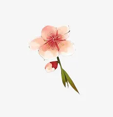 粉色文艺桃花绿叶免抠