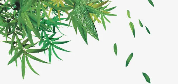 竹子免抠