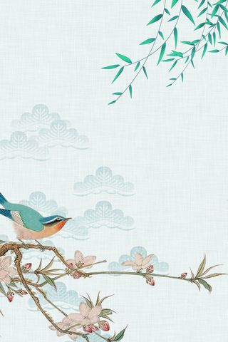 浅绿色古典春季上新花鸟春天背景高清