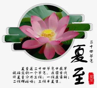 夏至荷花主题海报免抠