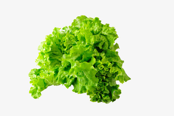 生菜图片素材免抠