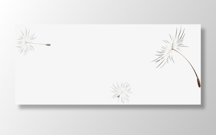 飞翔的蒲公英免抠漂浮叶子元素