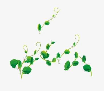 绿叶藤蔓免抠