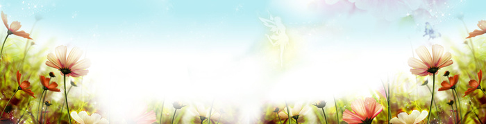 淘宝 女鞋 梦幻 背景 banner 花朵 花丛高清