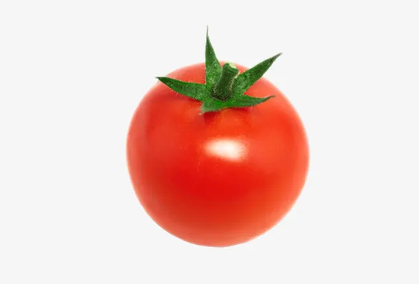 实物新鲜红色带藤樱桃番茄免抠