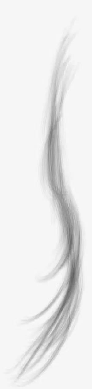 手绘人物黑色漫画头发免抠