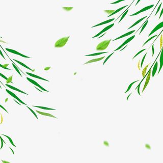 飘散的树叶，柳叶叶子春天免抠漂浮叶子元素