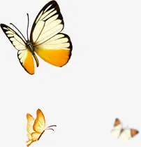 黄色蝴蝶飞舞淘宝促销免抠