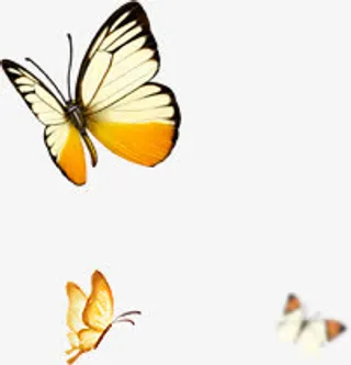 黄色蝴蝶飞舞淘宝促销免抠