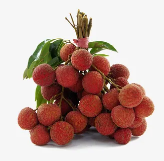 一串荔枝水果免抠 一串荔枝水果免抠