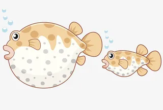 2条吐泡泡的鱼免抠