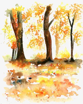 水彩黄色树林免抠