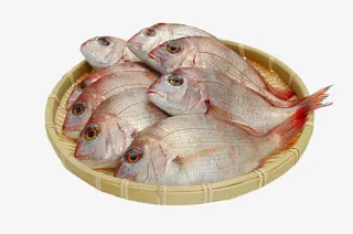 高清竹筐里的海鱼免抠