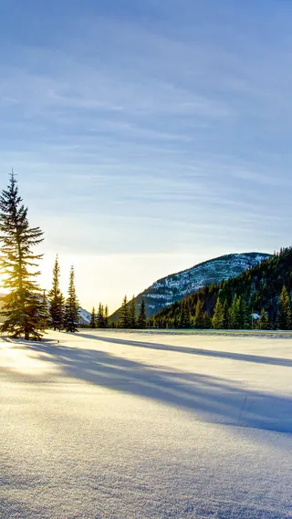 冬季清晨H5背景高清