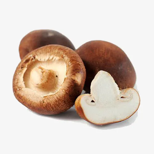菌菇香菇免抠