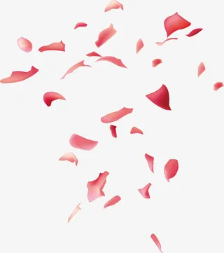 红色撒花庆祝免抠漂浮花瓣元素