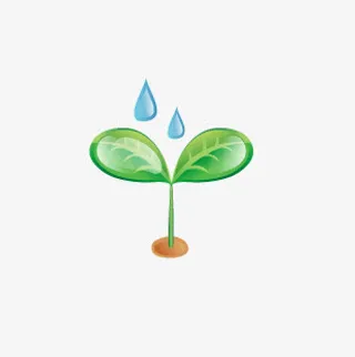 绿色发芽小苗带灌溉水滴免抠