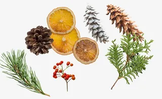 圣诞高清小装饰素材免抠