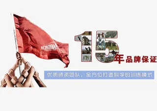 十五年拓展训练免抠