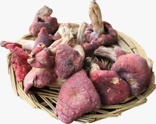 卡通手绘红色的香菇免抠