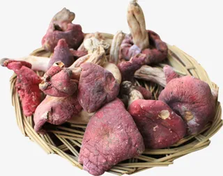 卡通手绘红色的香菇免抠