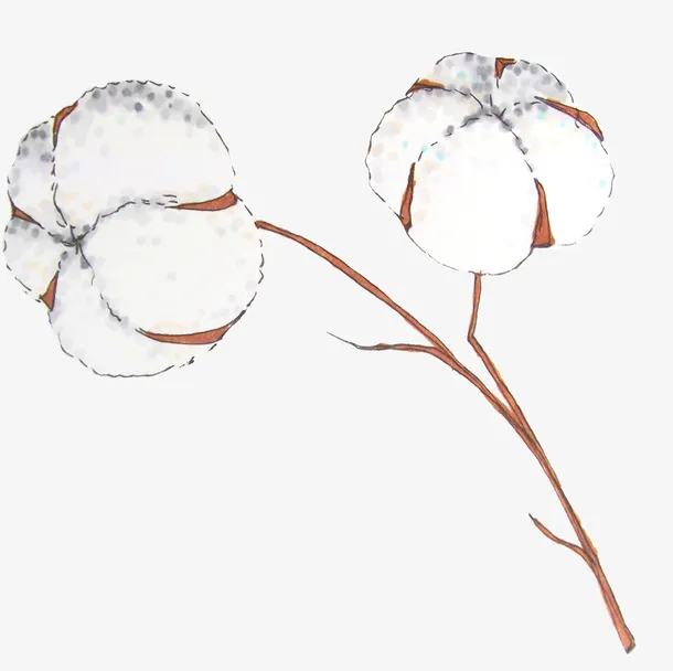 手绘树枝上的棉花免抠