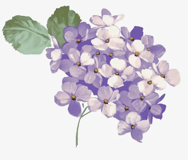 手绘紫薇花免抠
