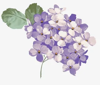 手绘紫薇花免抠