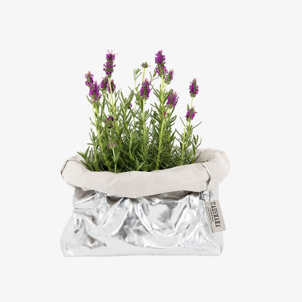 欧美流行插花 绿植物 鲜花软装免抠