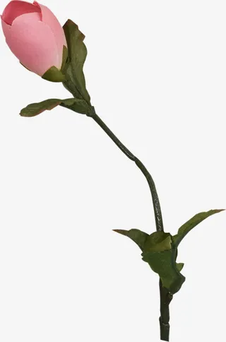 一朵小粉花免抠