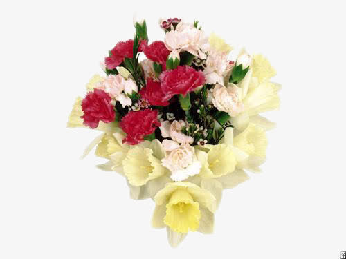 节日鲜花免抠