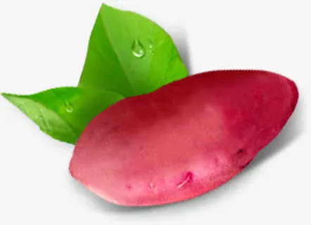 新鲜的红薯素材免抠