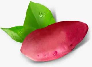 新鲜的红薯素材免抠