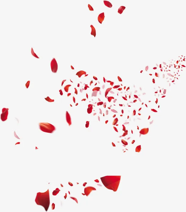 漂浮玫瑰花瓣免抠