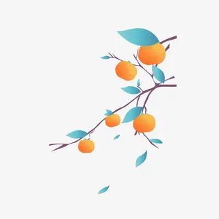 中国水彩手绘成熟柿子免抠