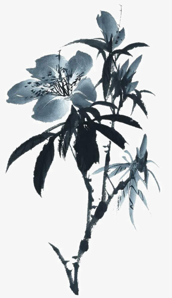 写意花草免抠